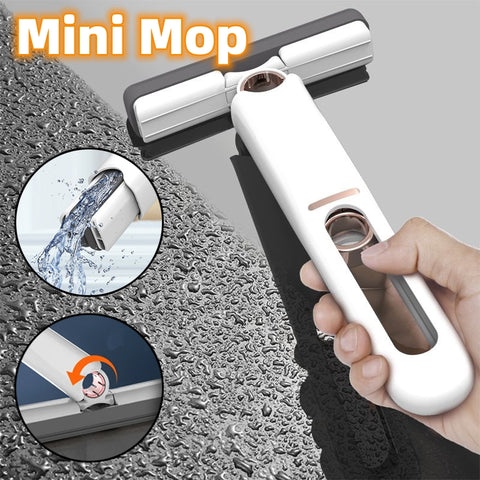 Mini Sponge Squeeze Cleaner