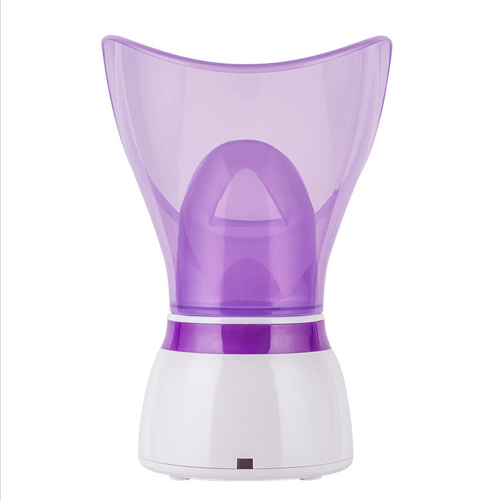 Facial Steamer