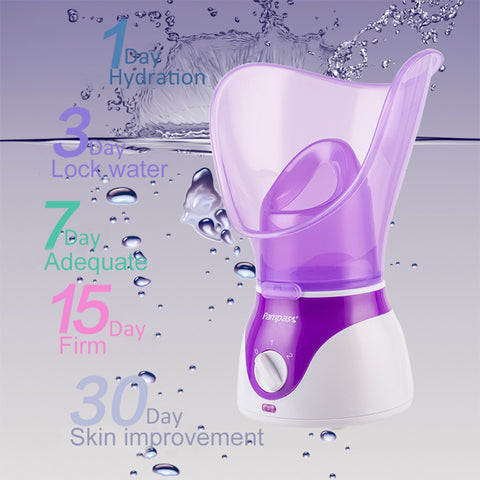 Facial Steamer