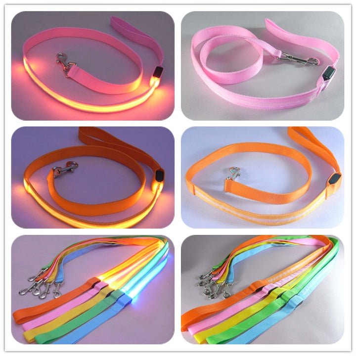 LED Illuminated Pet Leash