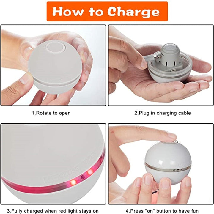 Light up LED Pet Toy