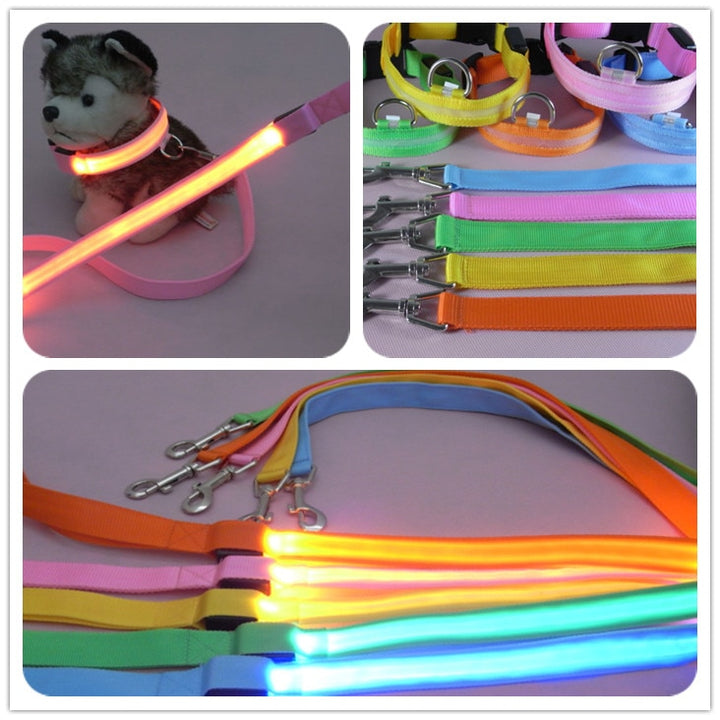 LED Illuminated Pet Leash