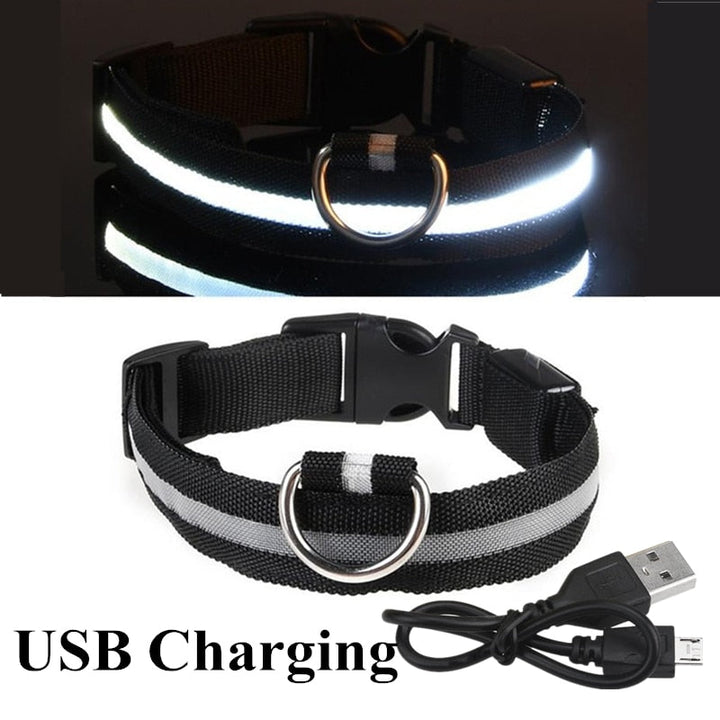 LED Glowing Pet Collar