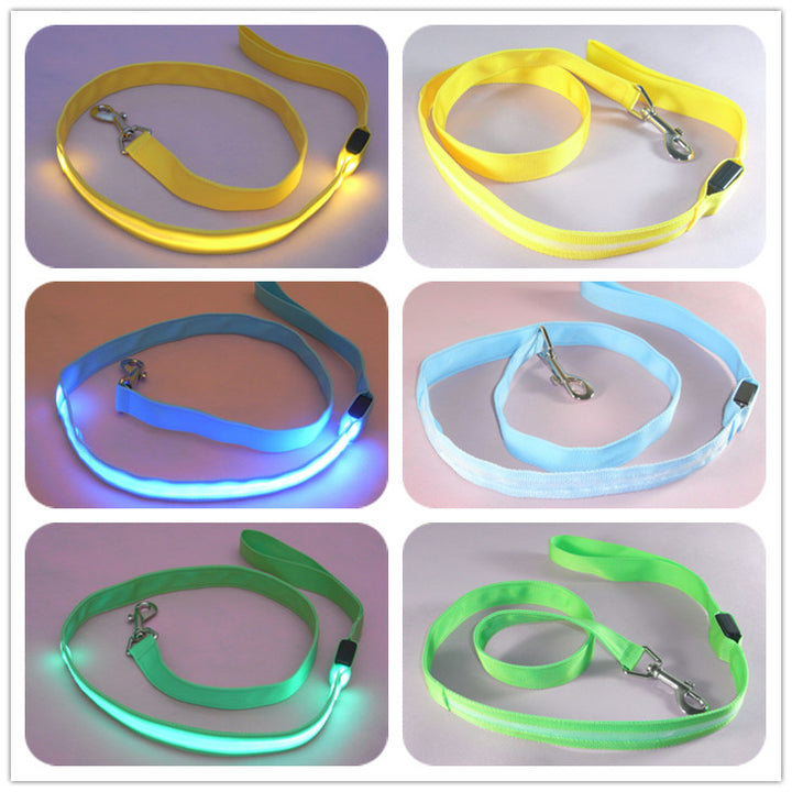 LED Illuminated Pet Leash