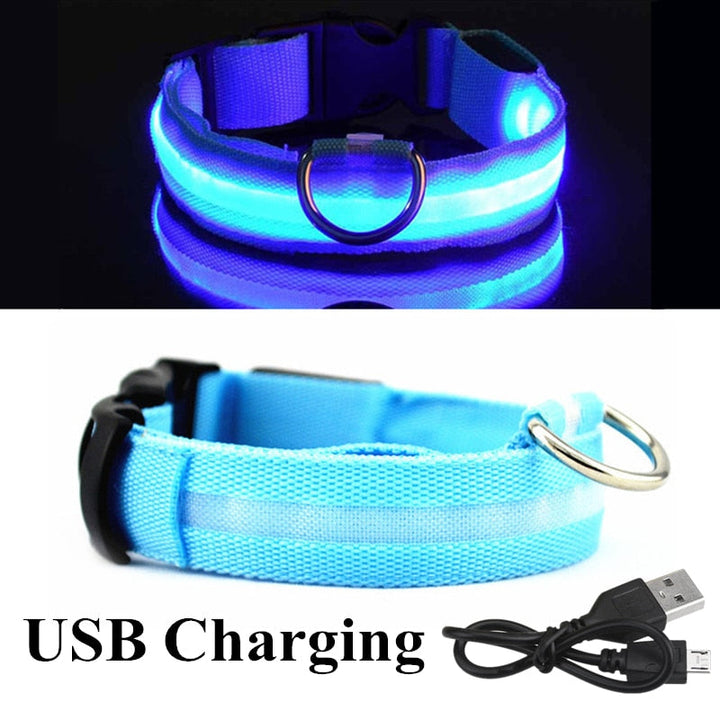 LED Glowing Pet Collar