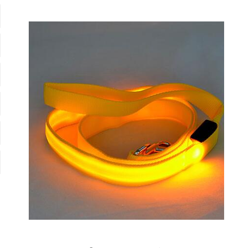 LED Illuminated Pet Leash