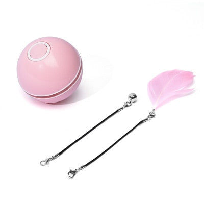 Light up LED Pet Toy