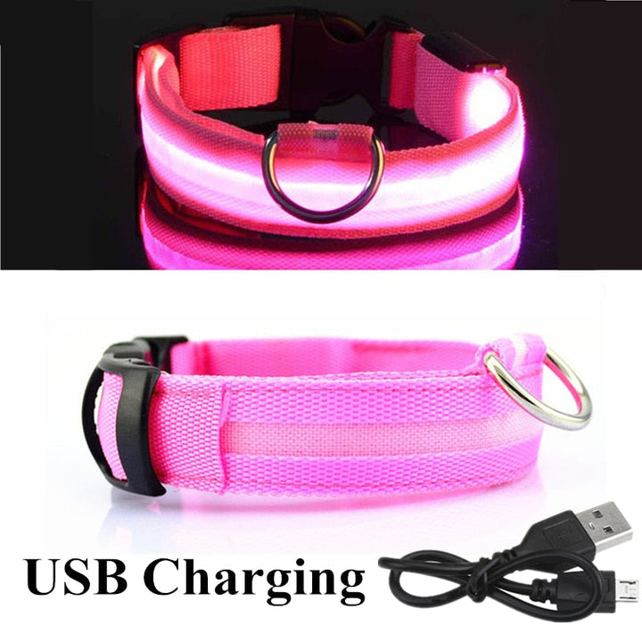 LED Glowing Pet Collar