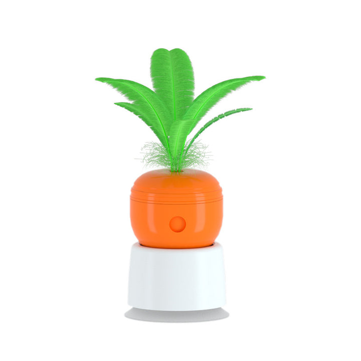 Carrot Cat Play Toy