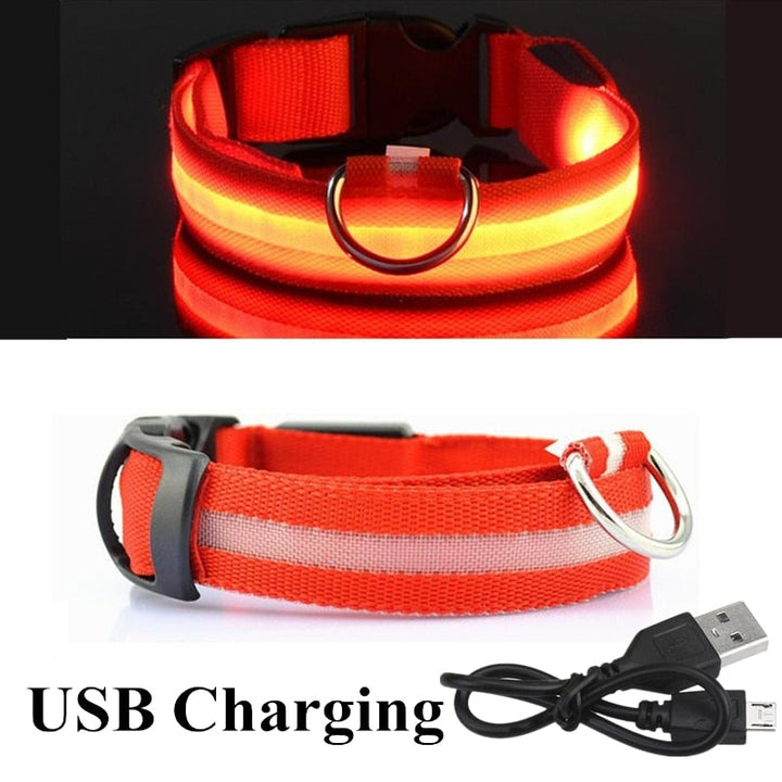 LED Glowing Pet Collar