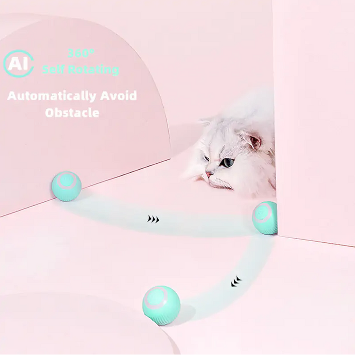 Light Up Ball Cat Toy