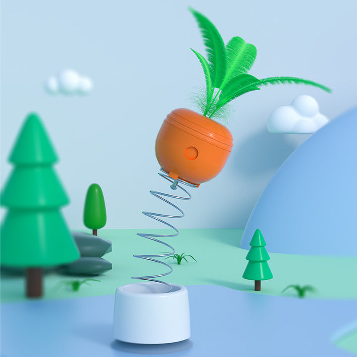 Carrot Cat Play Toy
