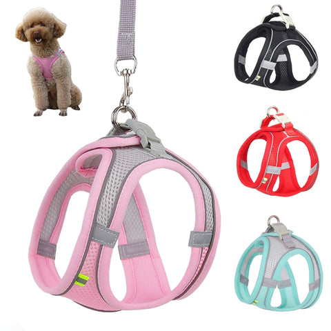 Dog Harness Leash Small Dogs