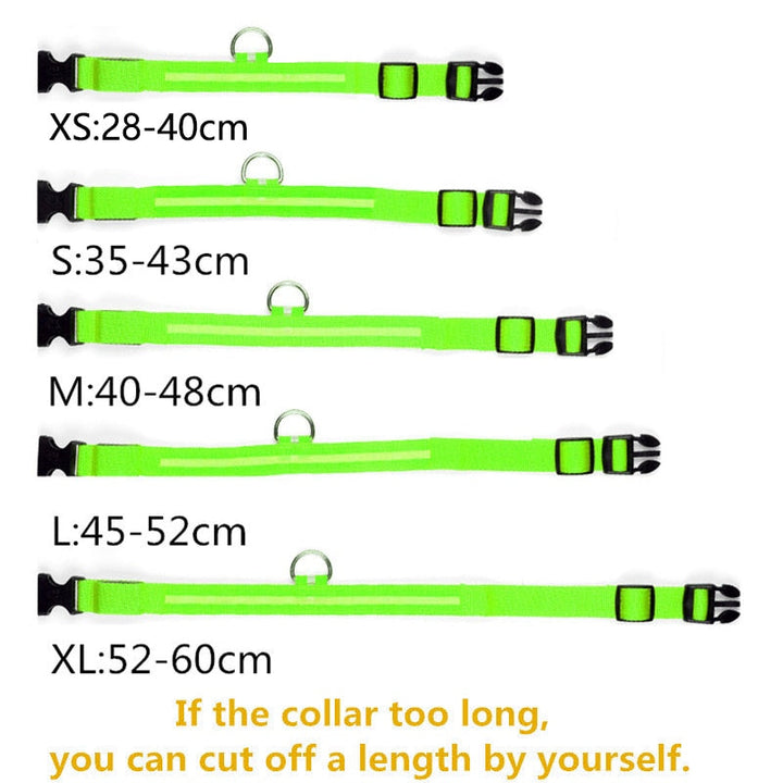 LED Glowing Pet Collar