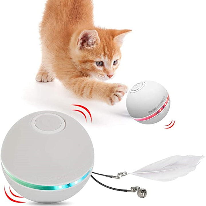 Light up LED Pet Toy