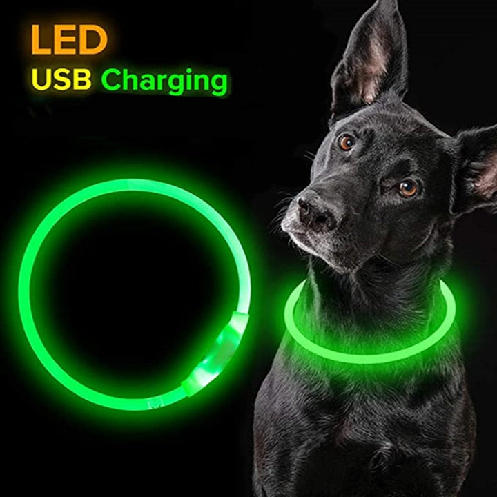 LED  Dog Collars