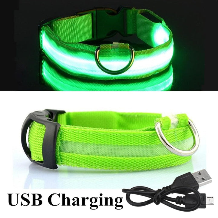 LED Glowing Pet Collar