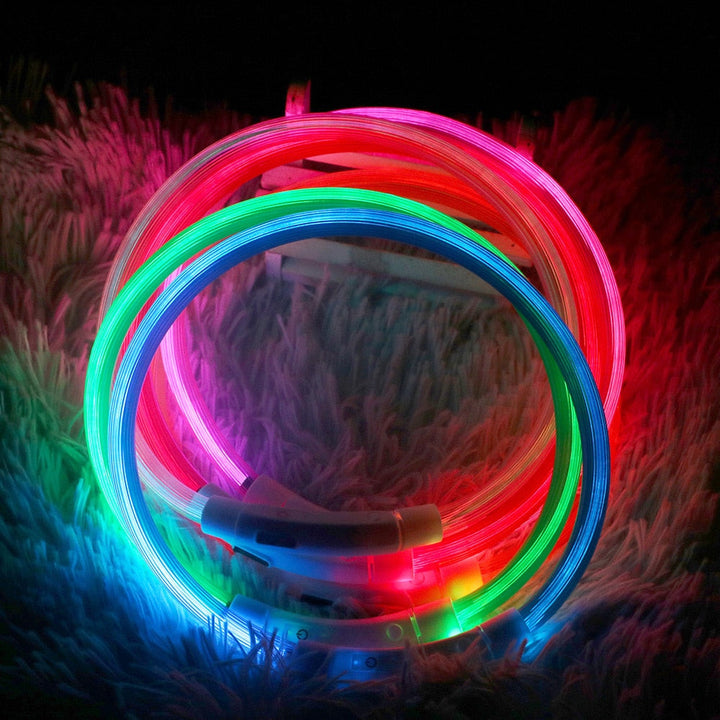 LED  Dog Collars