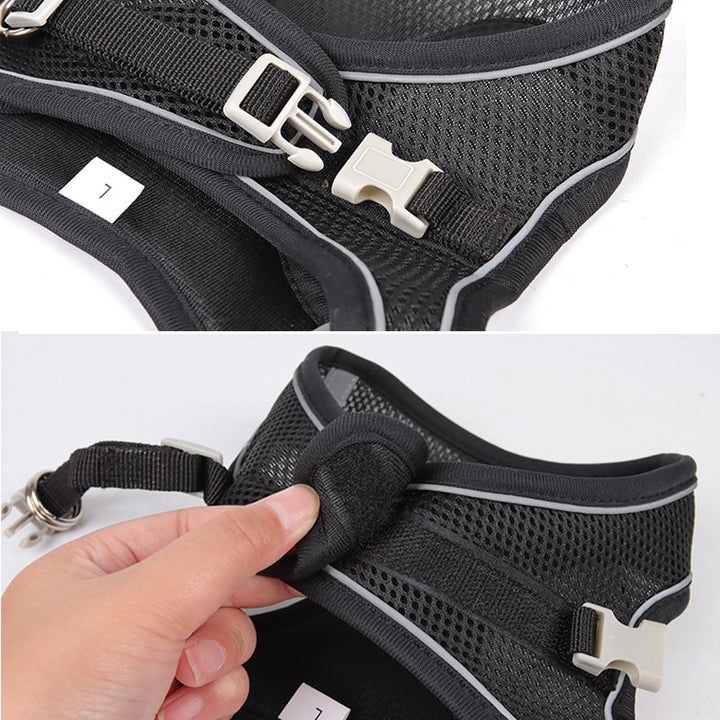 Dog Harness Leash Small Dogs