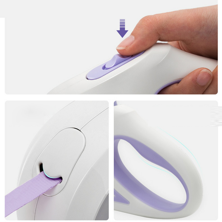 LED Light Up Dog Leash