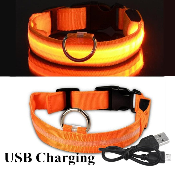 LED Glowing Pet Collar