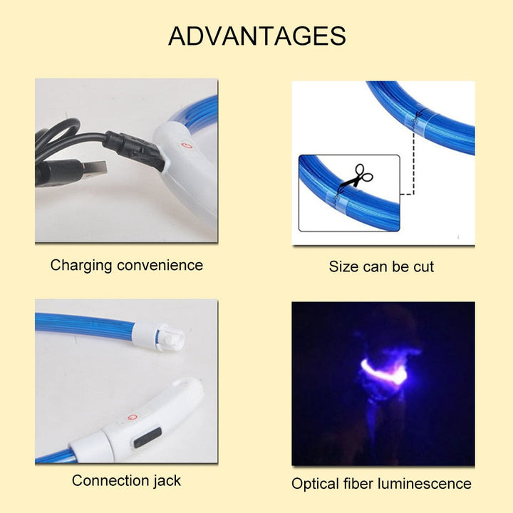 LED  Dog Collars