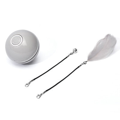 Light up LED Pet Toy