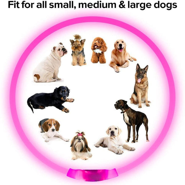 LED  Dog Collars