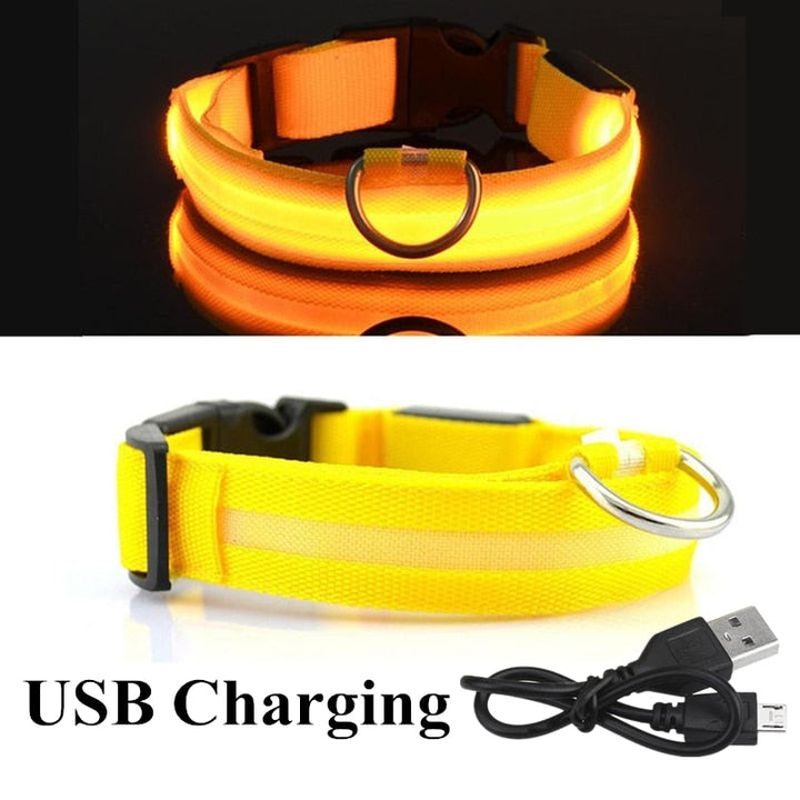 LED Glowing Pet Collar