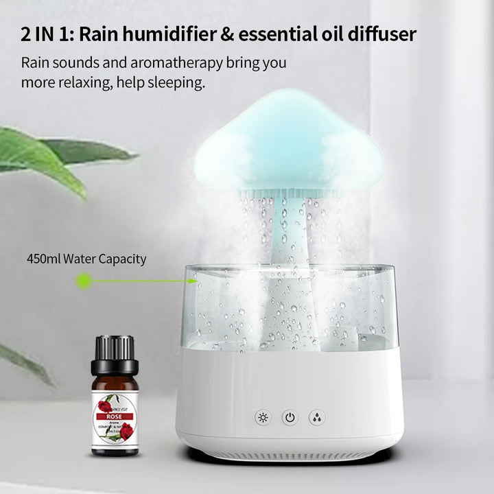 2-in-1 Desk Rain Cloud Humidifier