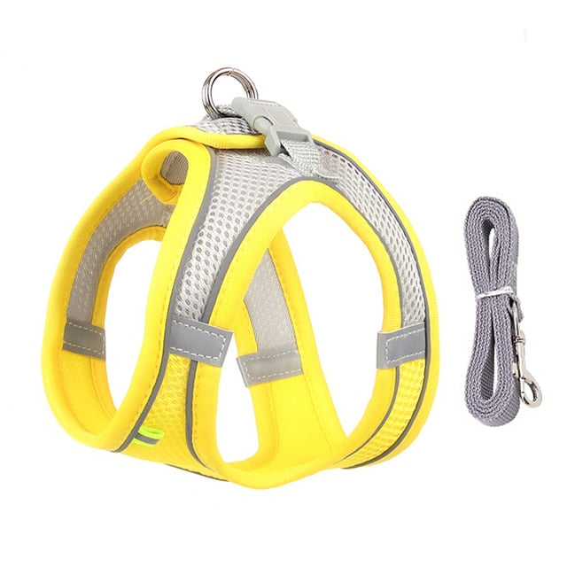 Dog Harness Leash Small Dogs