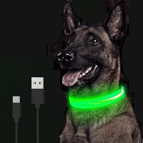 LED Glowing Pet Collar