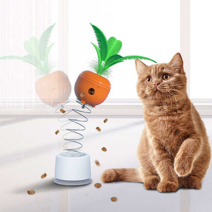 Carrot Cat Play Toy