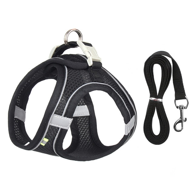 Dog Harness Leash Small Dogs