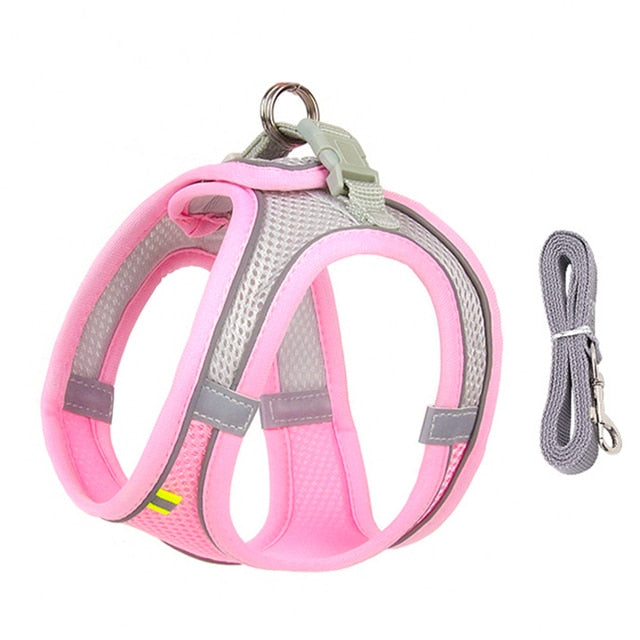 Dog Harness Leash Small Dogs