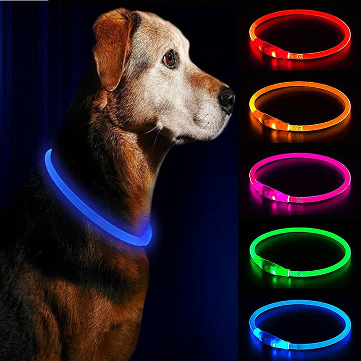 LED  Dog Collars