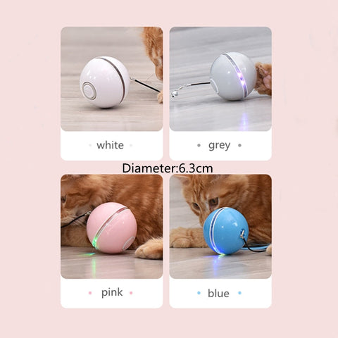 Light up LED Pet Toy
