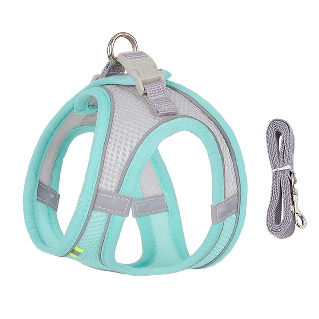 Dog Harness Leash Small Dogs