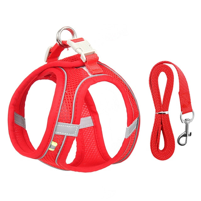 Dog Harness Leash Small Dogs